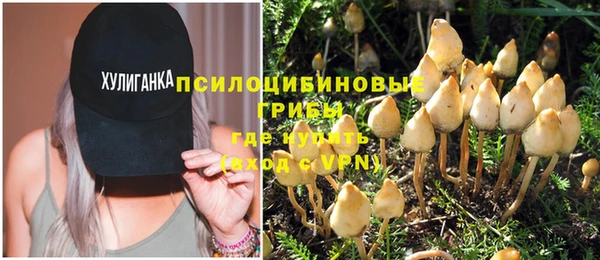 тгк Осинники